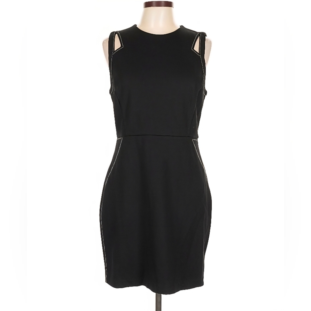 Express Sleeveless Dress